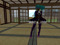 RP Limits and Escorting RP Limits and Escorting