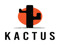 Kactus Group