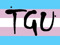 TransGender United