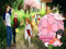 3. Sakura Rental