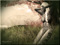 Harley - A true friend Harley - A true friend