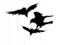 The Crows of Murder