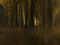 Aspen Fell~Endless Aspen Fell~Endless