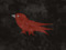 The Crow Dynasty