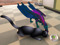 Kii - the little dragon Kii - the little dragon