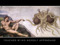 Church of the FSM