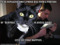 z Greatest Cat! z Greatest Cat!