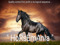 !!! HoRsEmAnIa !!!