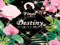 FINAL DESTINY FINAL DESTINY