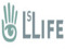 LSLEditor