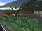 Vineyard Campus SL Vineyard Campus SL