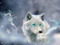 wolfshadow den