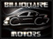 BILLIONAIRE MOTORS
