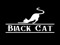 **Black Cat**