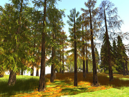 Parcel snapshot