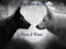 - ̗̀ Wolf Moon Rising Farm & Wines  ̖́-