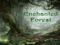 -={ Enchanted Forest }=- -={ Enchanted Forest }=-