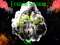 Finris Storm MC