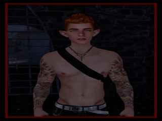 Second Life profile photo (full)