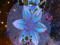 PsyTree Spirit