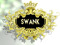 SWANK EVENTS