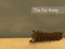 The Far Away The Far Away