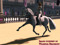 9. Dressage in SL 9. Dressage in SL