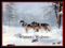 ~Winter-Wolves~ Land 