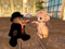 Raglan Shire - Friendship & creativity, powered by waffles! Raglan Shire - Friendship & creativity, powered by waffles!