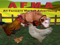 All Farmers Market Advertising