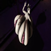 Second Life profile photo