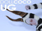 *DOLLCOCO* Update Group