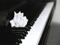 .::Windy Reyna's Epic Piano Time::. .::Windy Reyna's Epic Piano Time::.