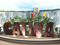 CATWA Store CATWA Store