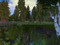 Mirromere                                      