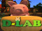 **D-LAB**    Group