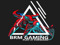 ║➌ BRM GAMING