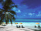 Rainbow Reef Residents Rainbow Reef Residents