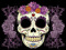 THE SUGAR SKULLS SOCIETY MOTHER THE SUGAR SKULLS SOCIETY MOTHER
