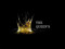 ::: The QueenS :::
