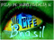SECOND LIFE BRASIL VIC