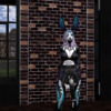 Second Life profile photo