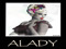 Alady Bodies Fans 2010
