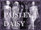 Paisley Daisy
