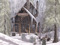 Aspen Fell - Whistletoe Aspen Fell - Whistletoe