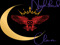 Nightbird Clan