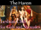 The Harem The Harem