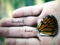 🦋 Broken Butterfly 🦋