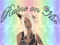 .::ROM::. KittyCats Breedables - Rentals .::ROM::. KittyCats Breedables - Rentals