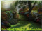 Paradice market Paradice market